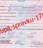 spravka-ob-invalidnosti-mse-2